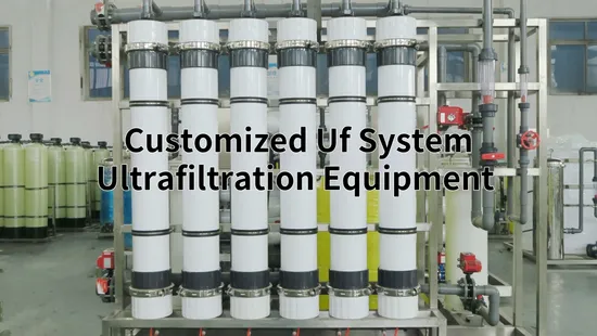 メーカー 50トン UF 限外濾過工業用フィルターシステム 逆浸透プラント RO フィルターシステム ベビーシュリンプ用